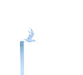 "The Fog Flight"