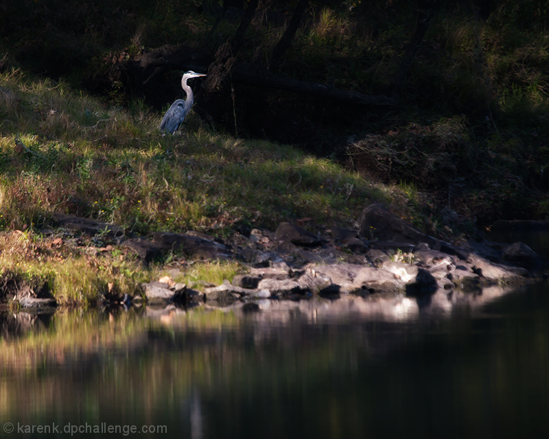 Down By The River