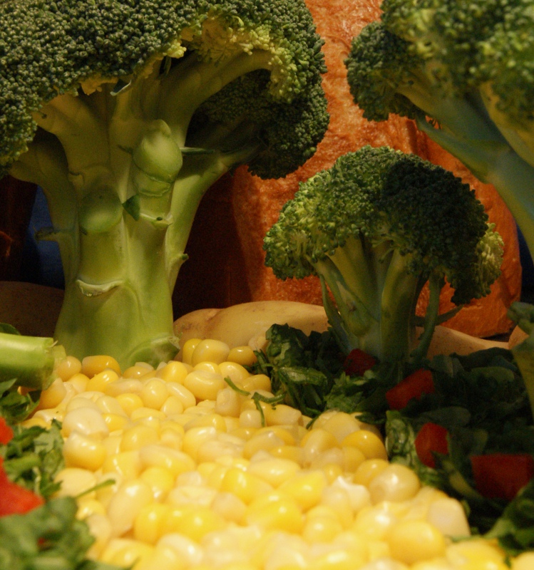 The good food forest