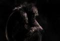 Captive