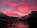 Pink Morning