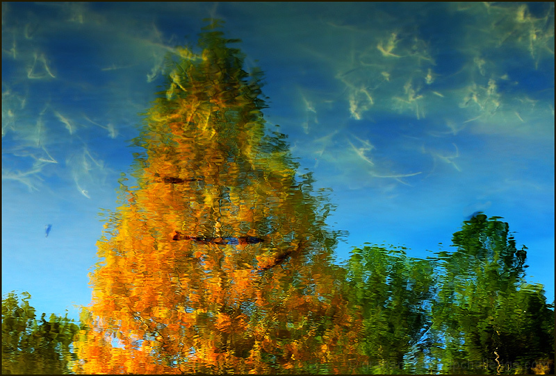 Fall Reflections