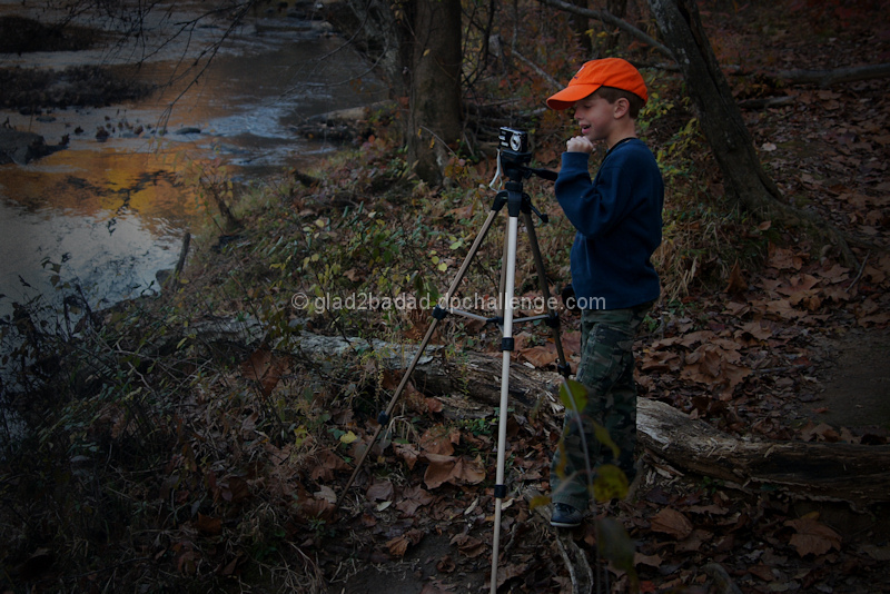 Discovering the Joy of Photography