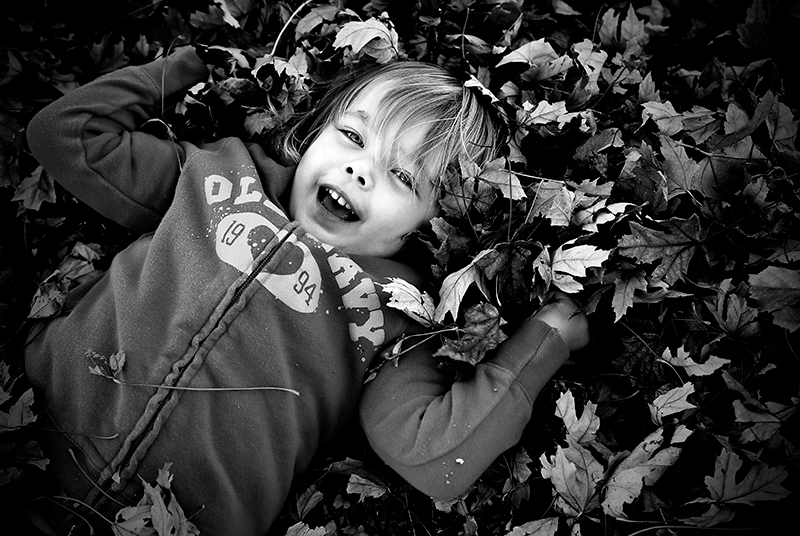 Leaves of Fun