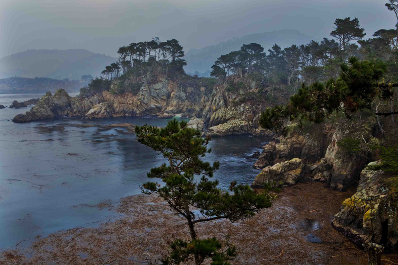 Carmel Cove in the Rain