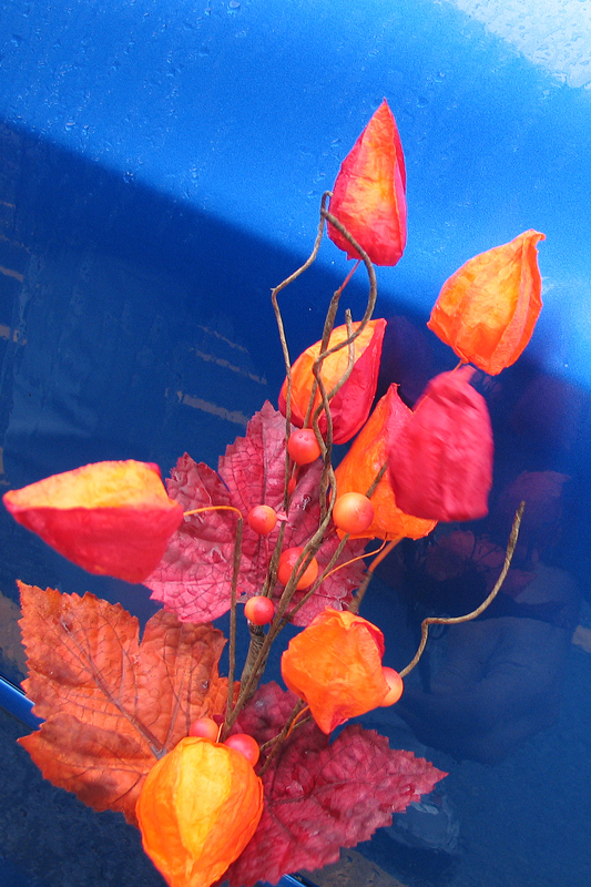 bouquet on blue