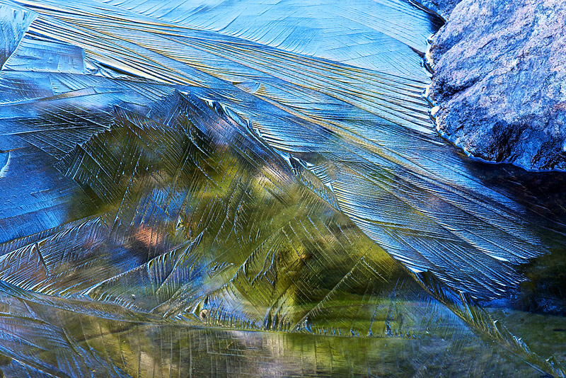 Crystalline Feathers at Lake's Edge