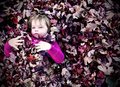 One Autumn Day
