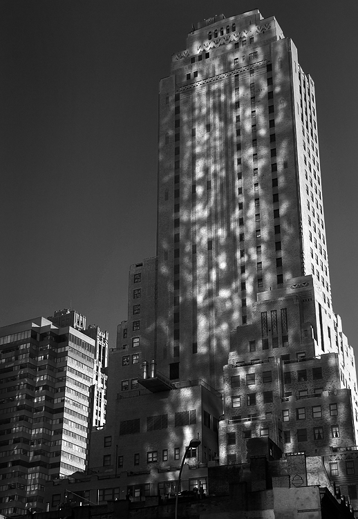 Great Speckled Skyscraper
