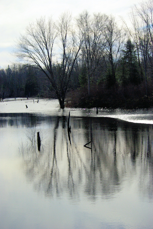 River Reflections