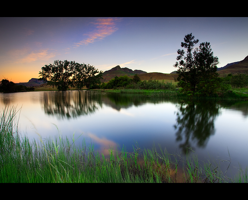 Trout Pond Dream