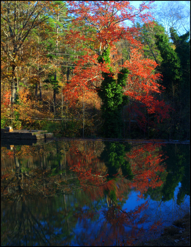 Final days of fall 2010