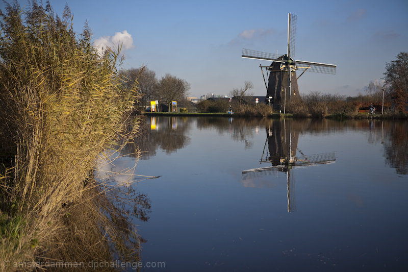 Peaceful reflections