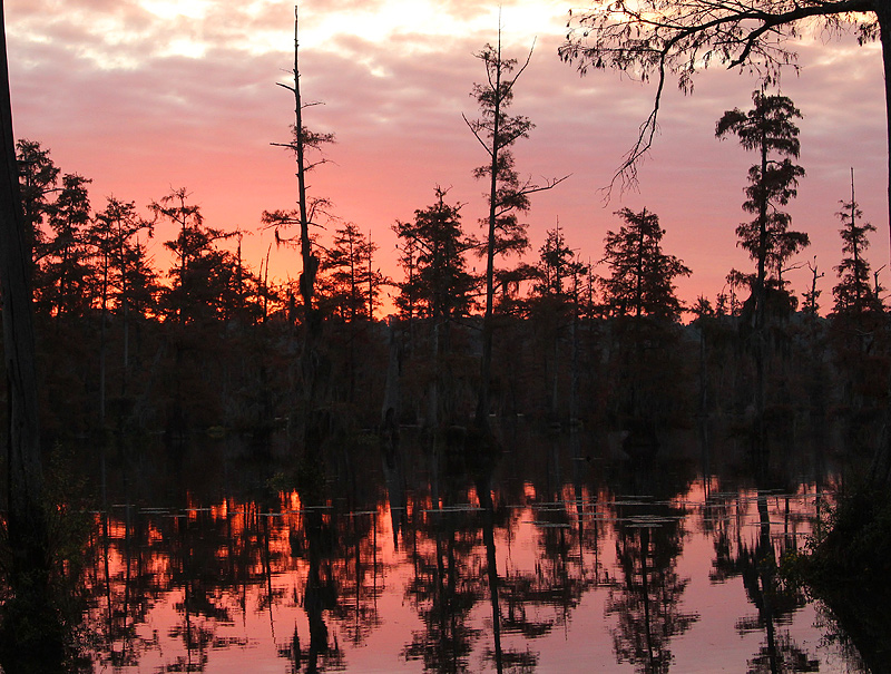 The Cyprus Reflections on a Pink Sunrise Morning