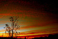 New Day Is Rising