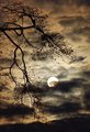 Winter's Advance