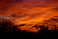 Birds at Sunset