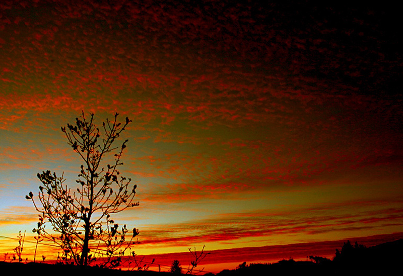 New Day Is Rising