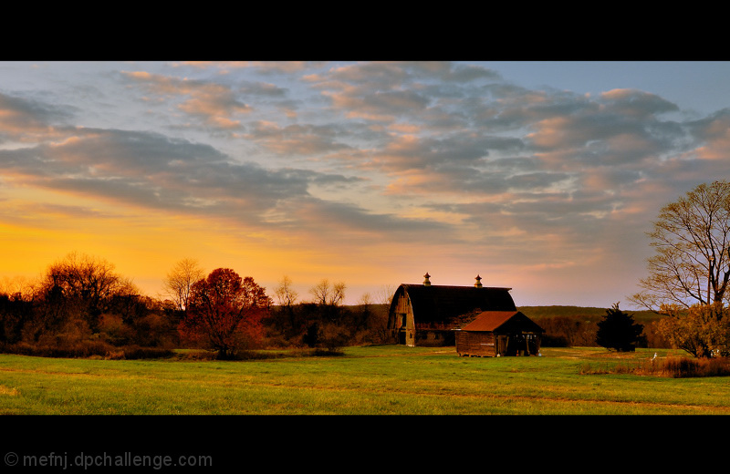 Remains Of A Late Autumn Day