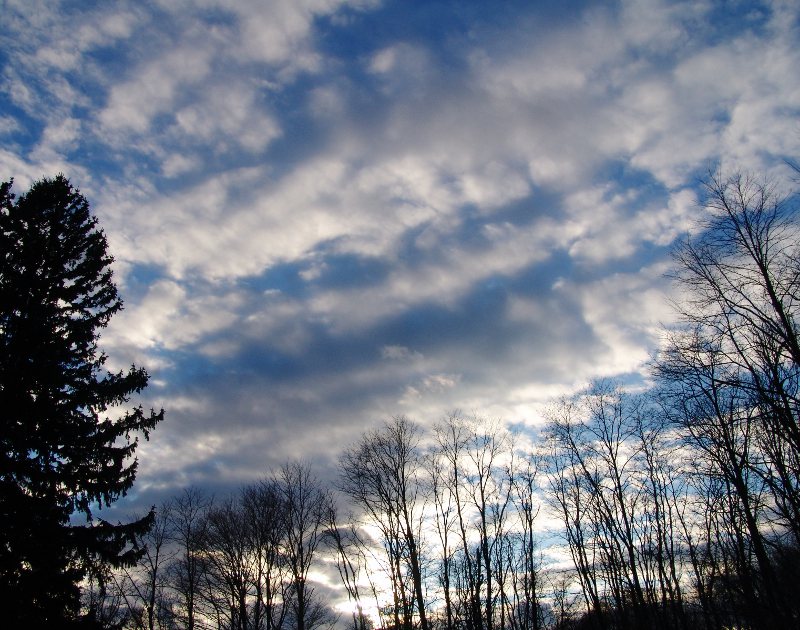 A Blanket For the Silhouettes