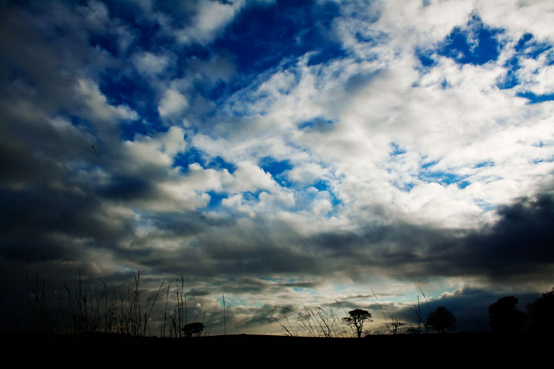 Norfolk Skies