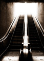 "Escalator Temporarily Stairs. Sorry for the Convenience."
