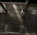 Into the Light