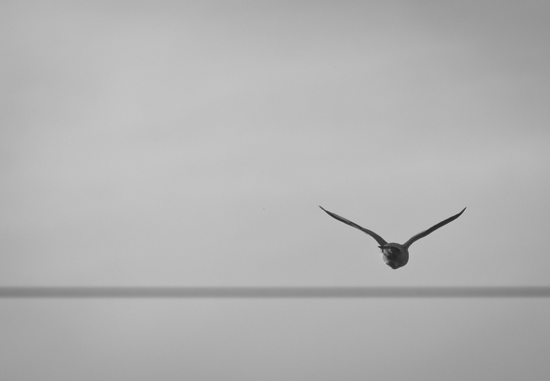 Across the line