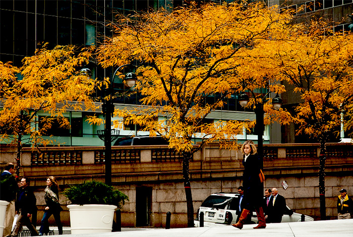 Autumn in New York