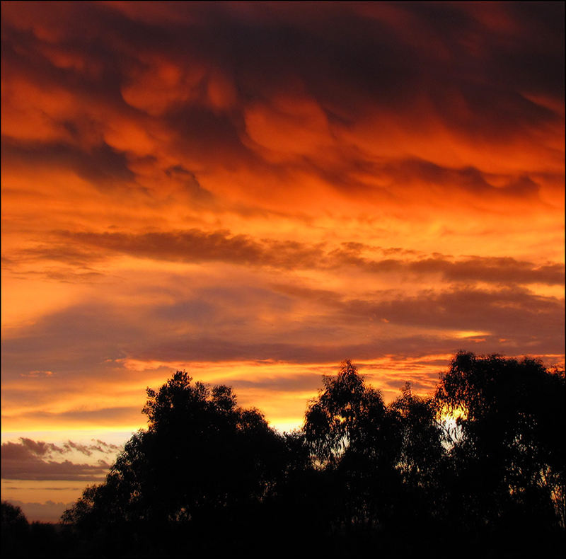 Sunset After The Storm