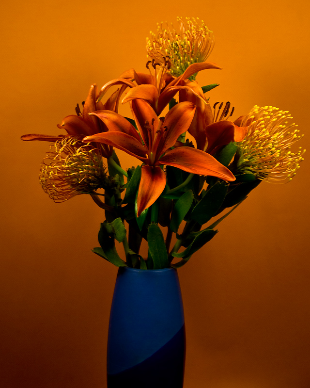 Lilies and Protea