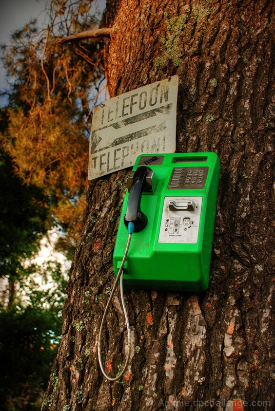 Tree Phone