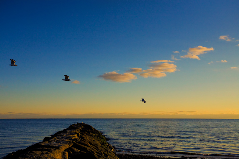 "And over Sicily the air / still flashing with the landward gulls..."