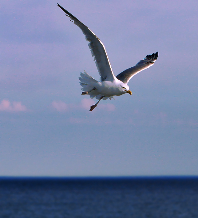 Cruising the Horizon