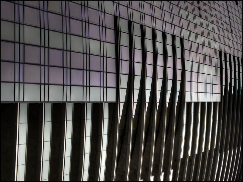 Parallax View