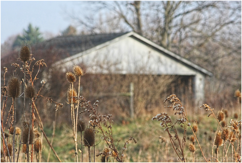 along the paulinskill railtrail