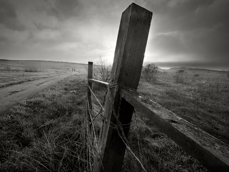 Stormy Walk