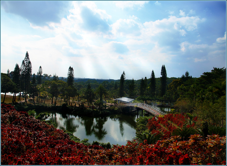 A bridge and a garden