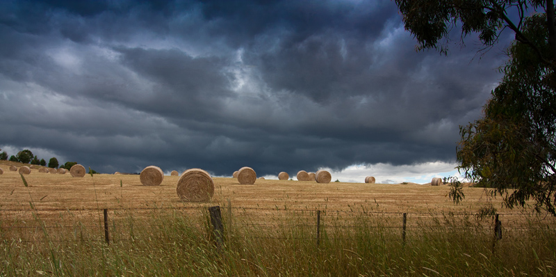 Coming Storm