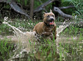 I can jump puddles....almost!!