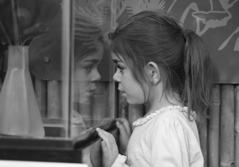 wonderment 