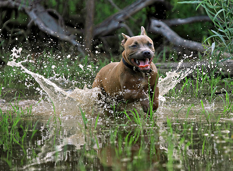 I can jump puddles....almost!!