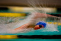 Arc of the Swimmer