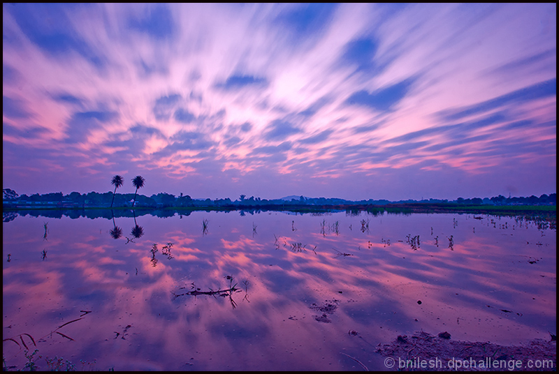 The Moving Clouds