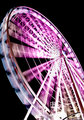 The magic magenta night