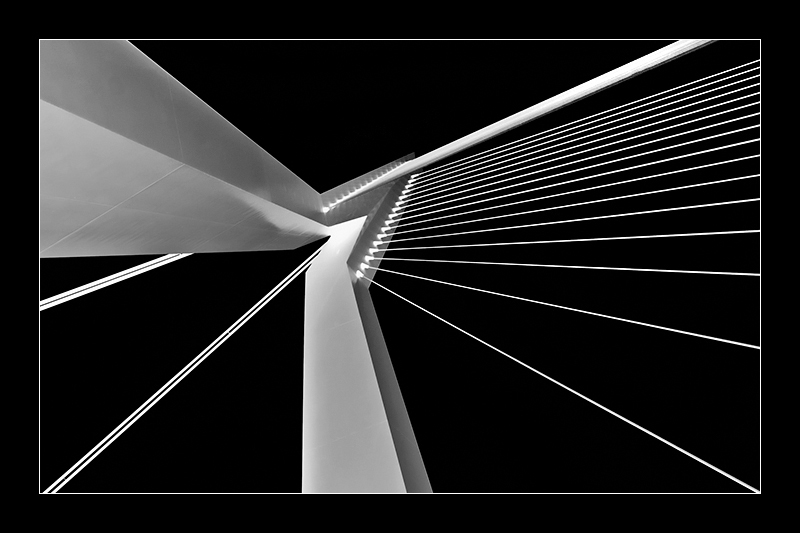 Suspension bridge detail (inverted)