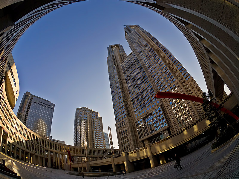 The Metropolitan Government