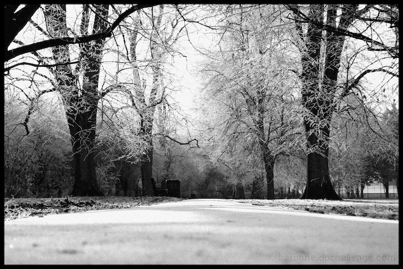 Frosted Path