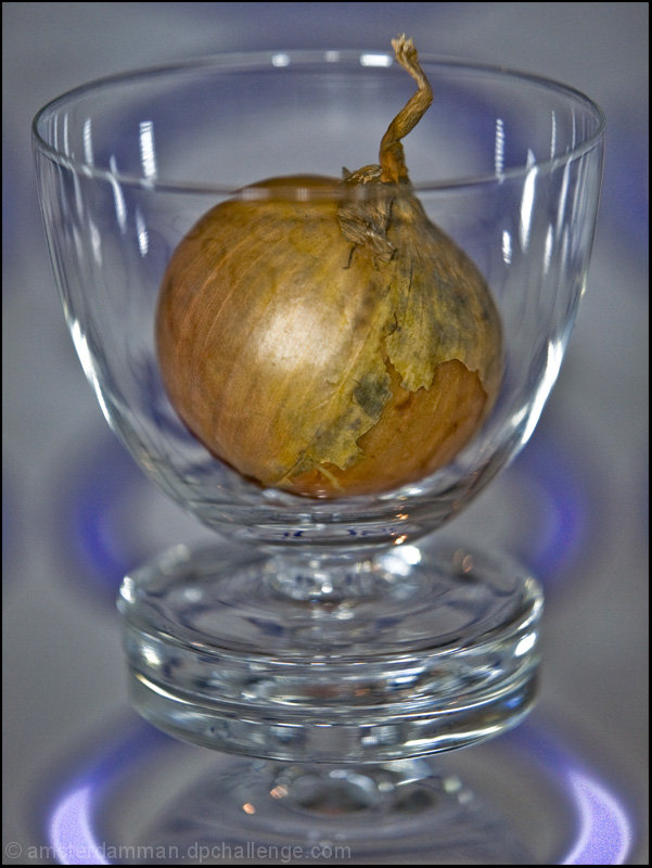 Looking through a "Glass Onion"