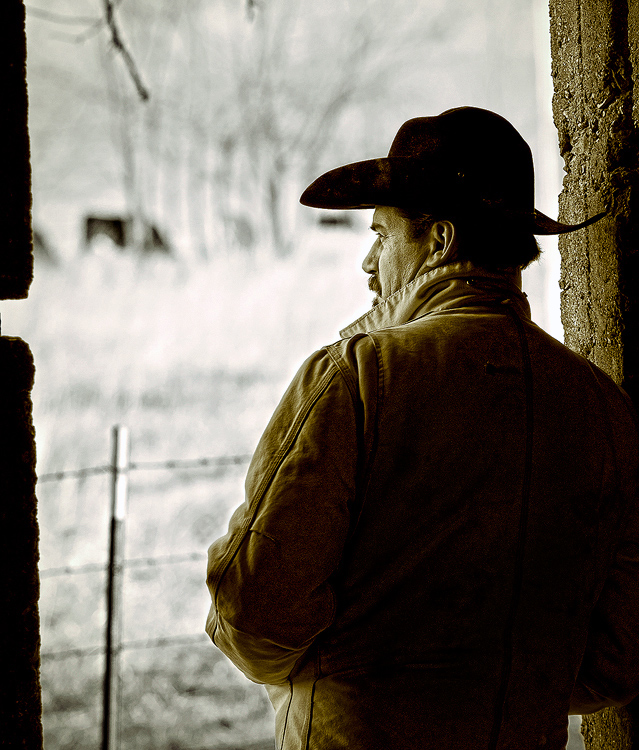 Winter in Cow Country